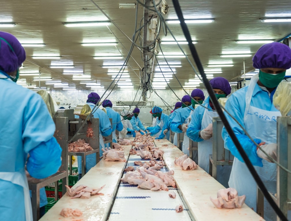 food processing plant - cut parts-min