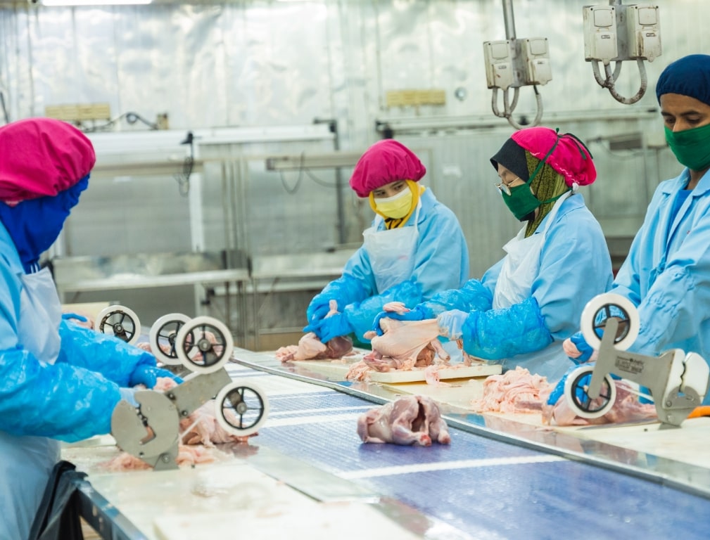 food processing plants - Deboning(3)-min